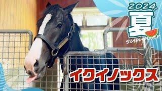 イクイノックスの今 馬体がグングン成長中！