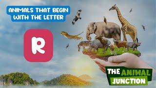 Animals That Start With R | The Animal Junction