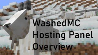 Panel Overview | WashedMC Minecraft Server Hosting