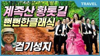 신록이 가득한 대전 계족산 황톳길 맨발 걷기 성지 & 숲속 클래식 연주 | 장동산림욕장 힐링 여행지 #계족산황톳길, #뻔뻔한클래식, #황톳길