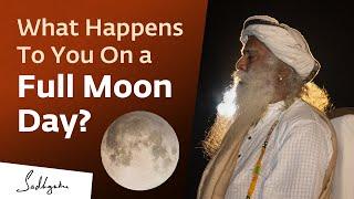 What Happens To You On a Full Moon Day?