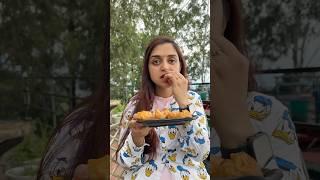 Shaitaan  Fried Momos  kha gaya  #shorts #trendingshorts #comedy #food #meghachaube