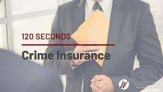 Crime Insurance | Insurance Explained