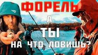 КАК ПОЙМАТЬ ФОРЕЛЬ? НА ЧТО ЛУЧШЕ ЛОВИТЬ? Два подхода в ловле.