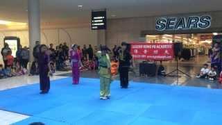 Group Double Whip Chain - Legend Kung Fu Academy @ New Park Mall 2014