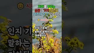 치매를 부르는 습관 3가지 시니어분들! 꼭 확인하세요  #치매예방 #시니어건강 #두뇌운동 #9988건강정보  뇌건강