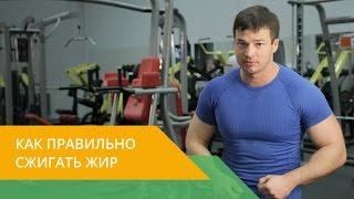 Здоровый спорт с Energy Diet. Как продуктивно сжигать жир