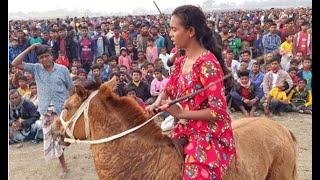 তাসলিমার ঘোড়া দৌড়  ঘোড়া দৌড় প্রতিযোগিতা Taslima Horse Race