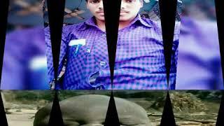 Vikash kumar verma love status music. in. Com ringtone