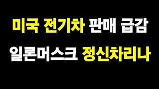 미국 전기차 판매 급감, 일론머스크 정신차리나?