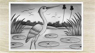 How to Draw a Birds Scenery with Pencil, Easy Pencil Drawing for Beginners