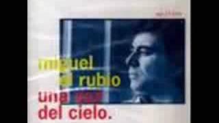 Miguel el rubio "nadie sabe de dolor" bulerias