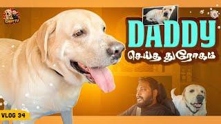 Chottu Mind Voice: Daddy என்ன முடிச்சு விட்ட போ | Vlog 34 | Mr.Chottu