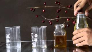 3 Layer Density Project - Science Experiment for Kids | Educational Videos by Mocomi