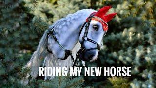 my new realistic hobbyhorse !first ride&unboxing!