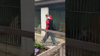 Сегодня я хочу рассказать вам о человеке, без которого наш приют трудно представить — о нашей Кате!