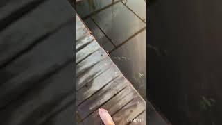 #отдых подписывайтесь на канал, здесь много интересных видео про рыбалку и многое другое.