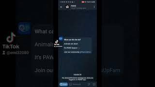 START MINING PAWS.. #cryptocurrency #airdrop      https://t.me/PAWSOG_bot/PAWS?startapp=ybc8yzqx