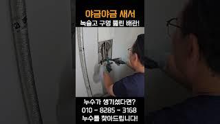 야금야금 새는 구멍뚫린 누수! #shorts #누수 #누수업체 #누수탐지 #동가누수