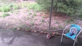 Summer Hail Pueblo