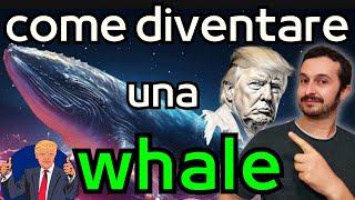 Sono diventato una Whale di un progetto molto interessante da x100