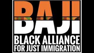 Gerald Horne x Black Alliance For Just Immigration discussing the US Elections and Trump's Victory