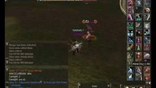 Lineage 2 PVP SoulSteal X Dvp