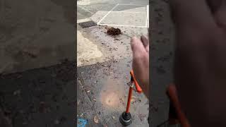 Domestic Leak Detection in Noble Park