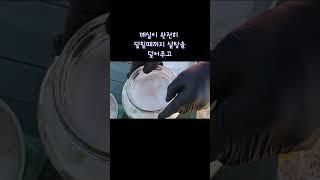 매실청 담그는법  매실청독성은? 위에있는 빨간 구독버튼 누르시고~ 긴영상은 가마솥아재 채널에서  시청해 주세요~^^ #매실청담그는법#매실청독성분