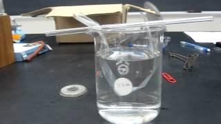 Lab Demo - Dialysis Tubing 001