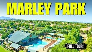 Marley Park in Surprise, AZ | Best Surprise Neighborhood!