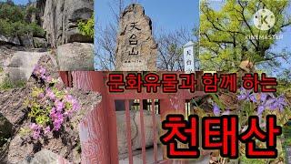 [대한민국 100대명산 #60 : 천태산] 천연기념물 영국사은행나무, 영국사, 보물 영국사원각국사비, 정상, 75m암릉구간, 왕복 2시간,  4.25km, [2023.4.19]