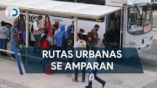 Rutas urbanas en NL se amparan para no presentar verificación vehicular