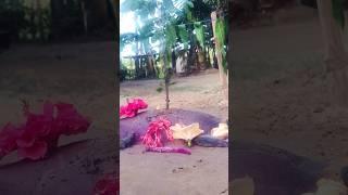 A unique scenes #viral #ytshorts #shorts