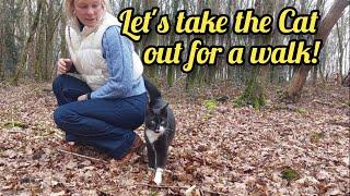Ep 106 | Brambles the Cat...Who Thinks He's a Dog | French Farmhouse Life |