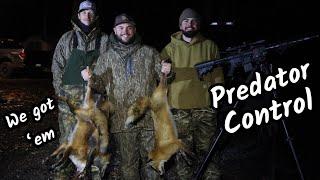 Hunting FOXES at NIGHT!  Predator Hunting with Lights!