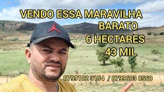 6 HECTARES PRA VENDER BARATO 43 MIL SUA GRANDE OPORTUNIDADE 8799102 3154/ 8799603 8560