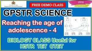 #GPSTR_preparation (from paid class)#gpstrscience - Adolescence (4) #gpstr2024 #tetsyllab #karnataka