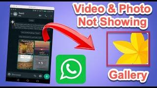 WhatsApp docoment photo and video not showing in gallery