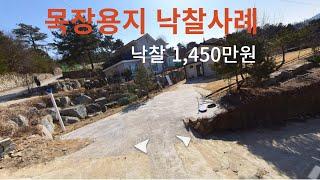 목장용지 낙찰 1,450만