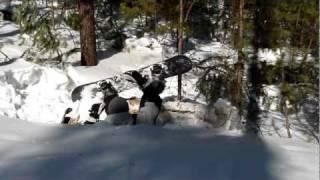 Snowboarder VS Tree (break a leg!)