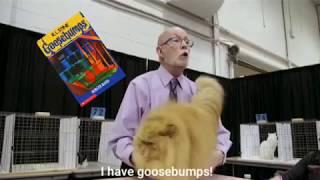 I Have Goosebumps (Cat Judge)