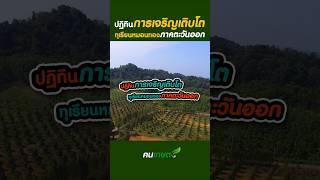 ปฏิทินการเจริญเติบโตของทุเรียนหมอนทองภาคตะวันออก #ฅนเกษตร #ปลูกทุเรียน #ปุ๋ยทุเรียน