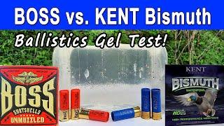 BOSS vs. KENT Bismuth | Ballistics Gel & Pattern Test