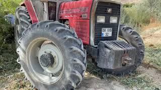 Massey Ferguson 398 4x4(efsane) İş başında