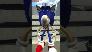 Sonic dalam berbagai ukuran di Garry's Mod! #meme #sonic #garrysmod