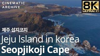 8K 제주 섭지코지와 푸른 바다 / Jeju, Seopjikoji Cape, Korea Drone - 키워드, 제주도, 섭지코지, 해안,드론 |시네마틱아카이브-대한민국영상소스