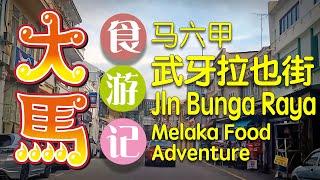 马六甲 【武牙拉也街】 食游记 \(•◡•)/ Jalan Bunga Raya, Melaka Food Adventure