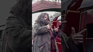 How Often Hagrid Was FAKE in Harry Potter?!