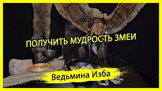 ПОЛУЧИТЬ МУДРОСТЬ ЗМЕИ. ДЛЯ ВСЕХ. #ВЕДЬМИНАИЗБА ▶️ #МАГИЯ